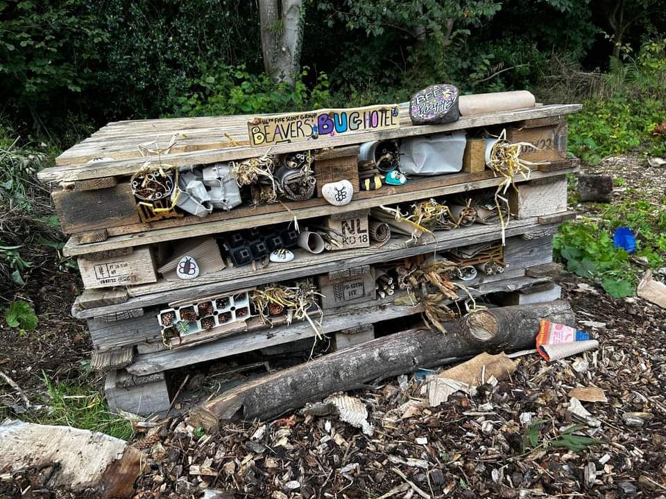 The Beavers’ bug hotel